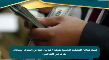 ضبط مفاجئ للعملات الأجنبية بقيمة 4 ملايين جنيه في السوق السوداء.. تعرف على التفاصيل
